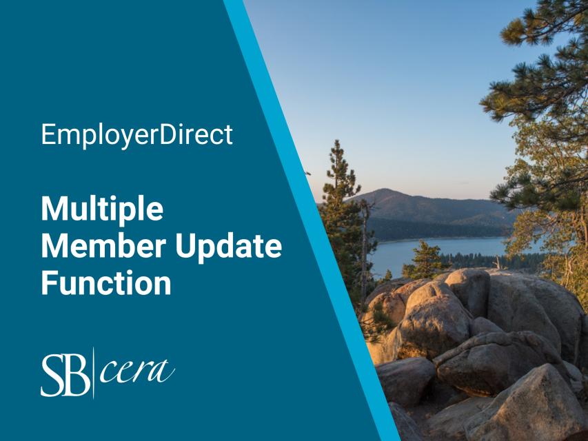 Multiple Member Update Function in EmployerDirect